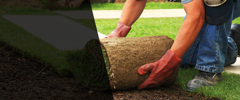 Warrenton Landscapers